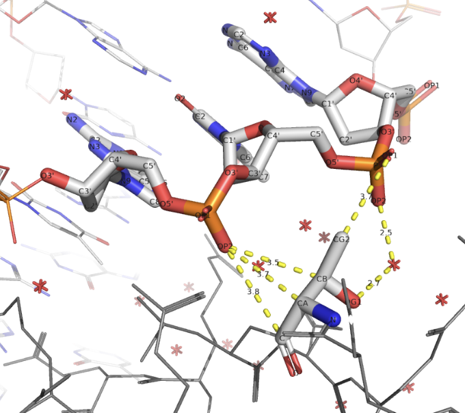Моя фотография