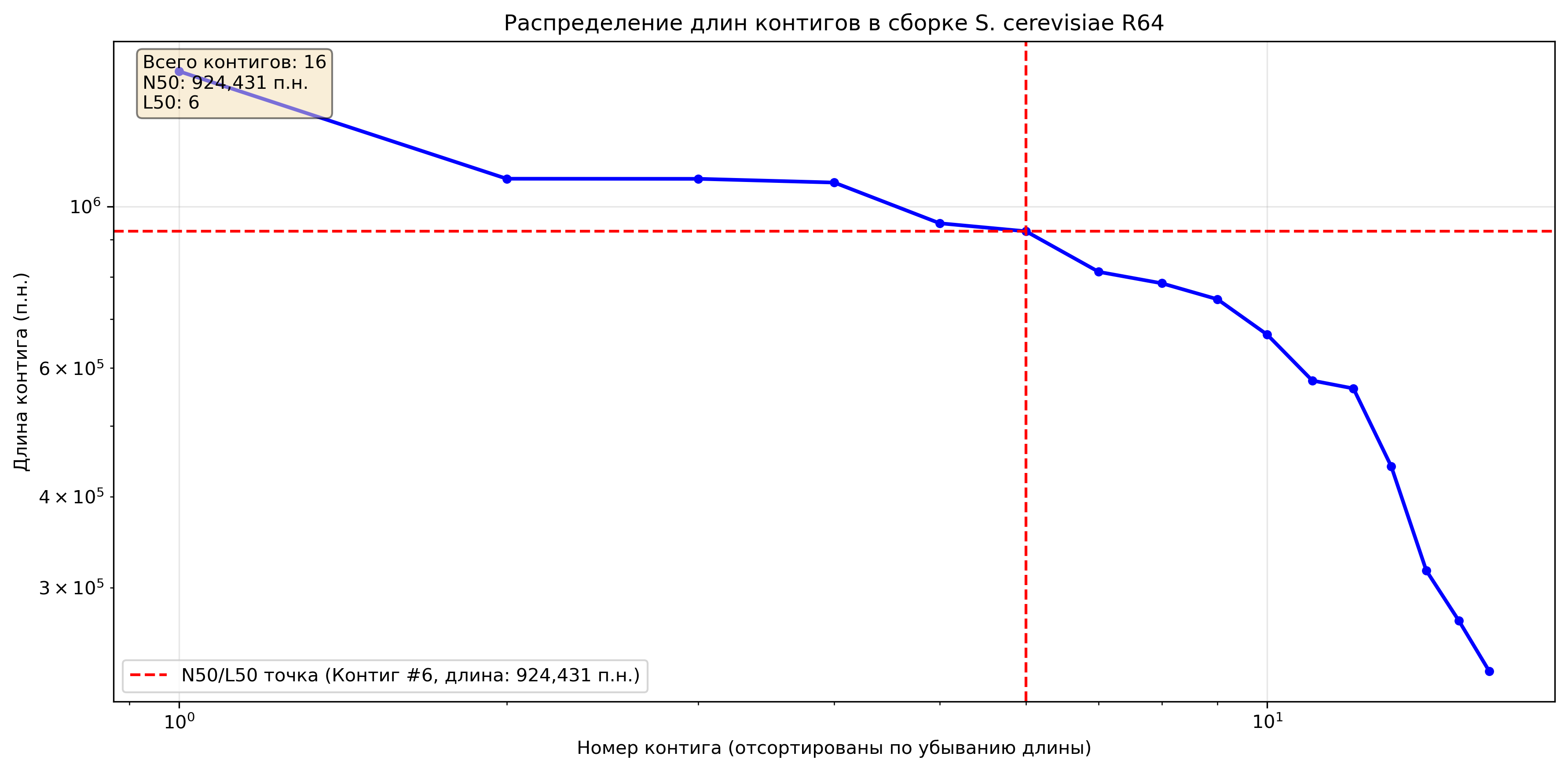 Моя фотография