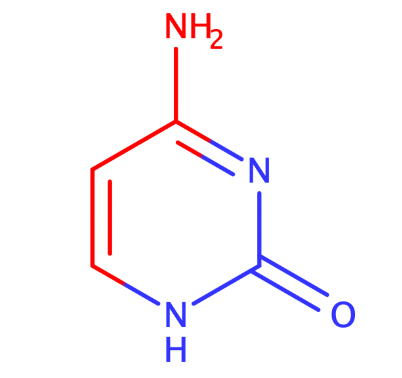 Моя фотография