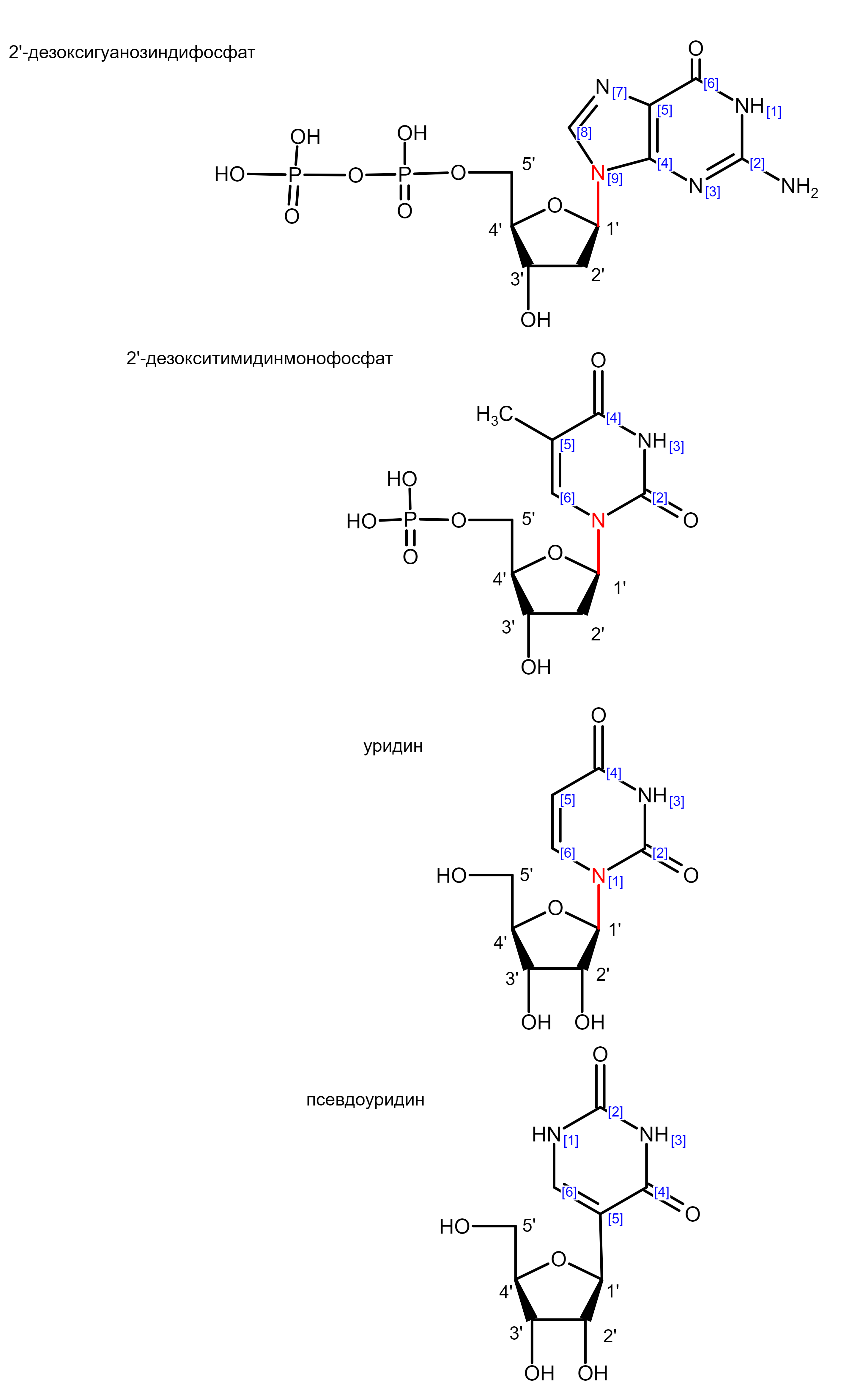 Моя фотография
