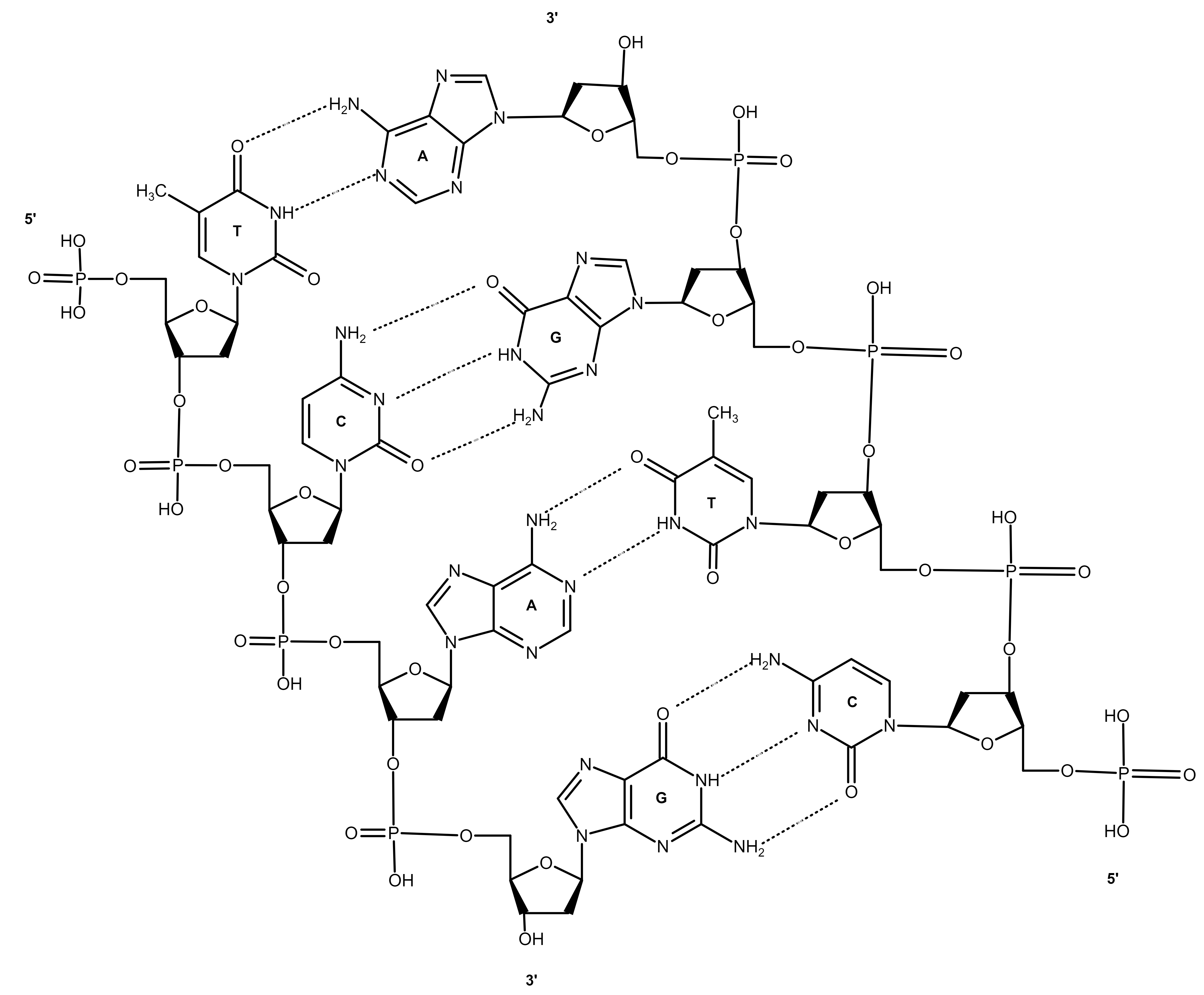 Моя фотография
