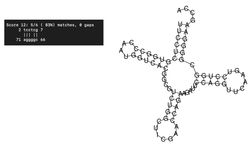 Моя фотография