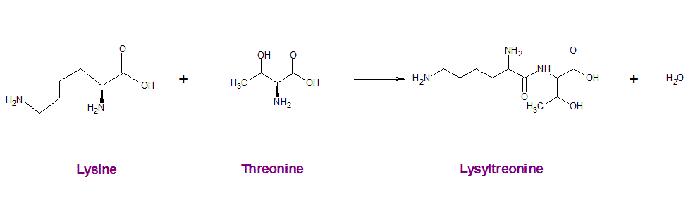 Метионин триптофан треонин трипептид. Глицин пролин лизин. Треонин Валин лизин пептид. Лизин аланин пролин пептид.