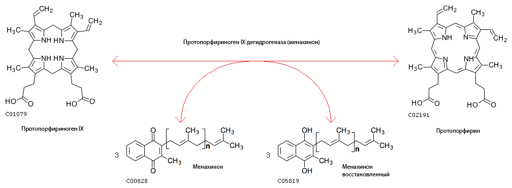Протопорфирина IX. Протопорфирин 9 формула. Протопорфириноген IX формула. Уропорфириноген 3 формула.