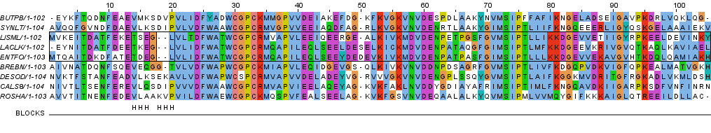 Гомологичные последовательности, раскраска ClustalX