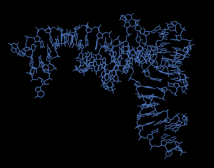 RNA-wireframe
