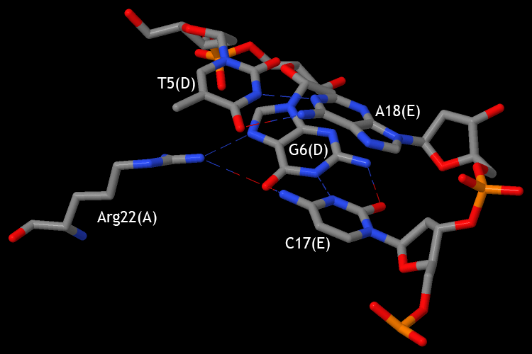 Контакты с Arg22(A)