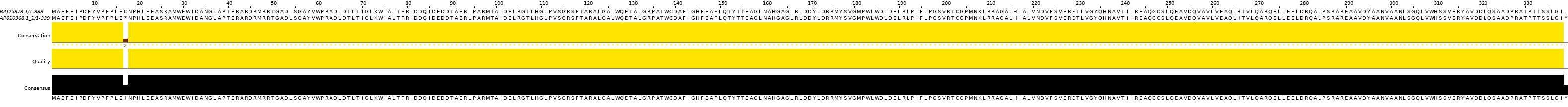 mutation-11