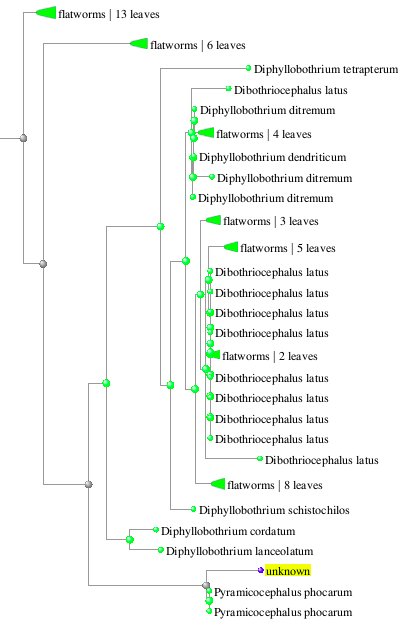 blast results (search for homologs)