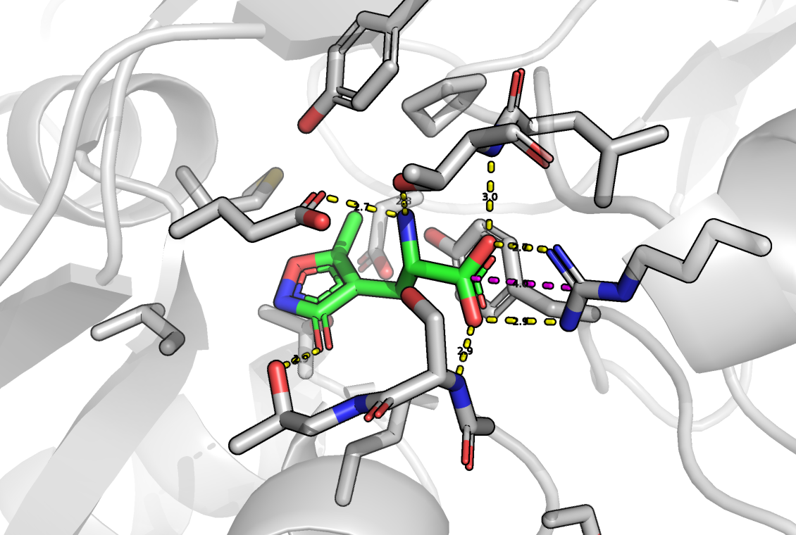 AMPAR-AMPA interaction