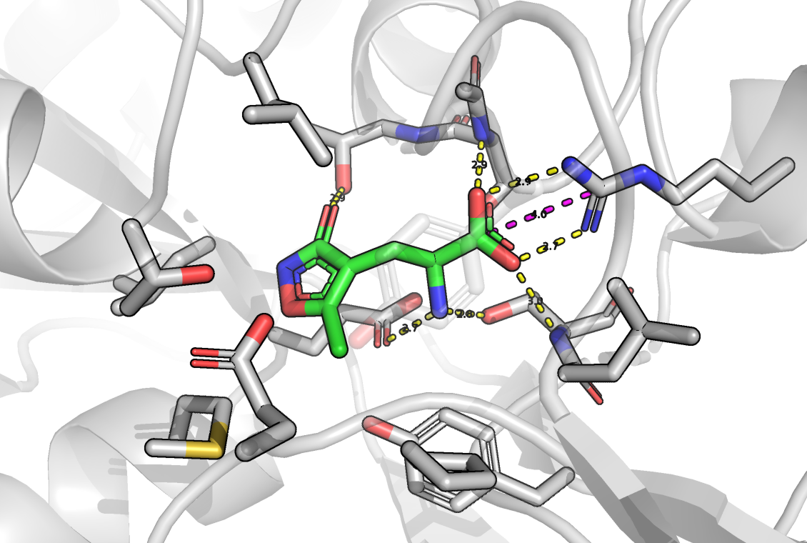 AMPAR-AMPA interaction