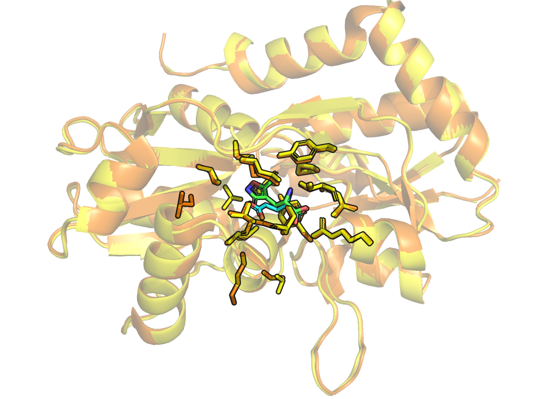 AMPAR-glutamate and AMPAR-AMPA alignment