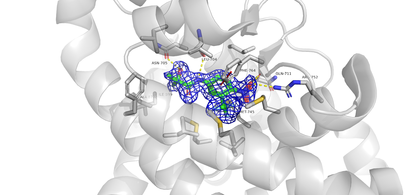 4oh5 ligand, mesh level 1