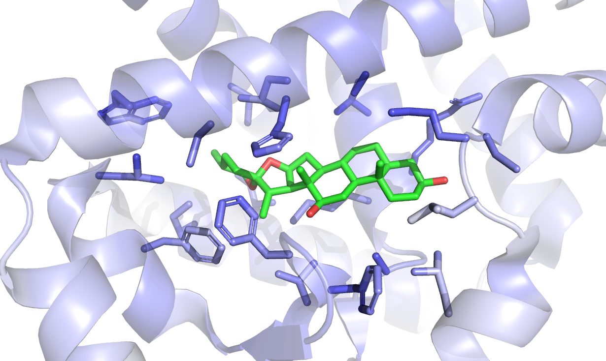 B-factor of structure with ligand