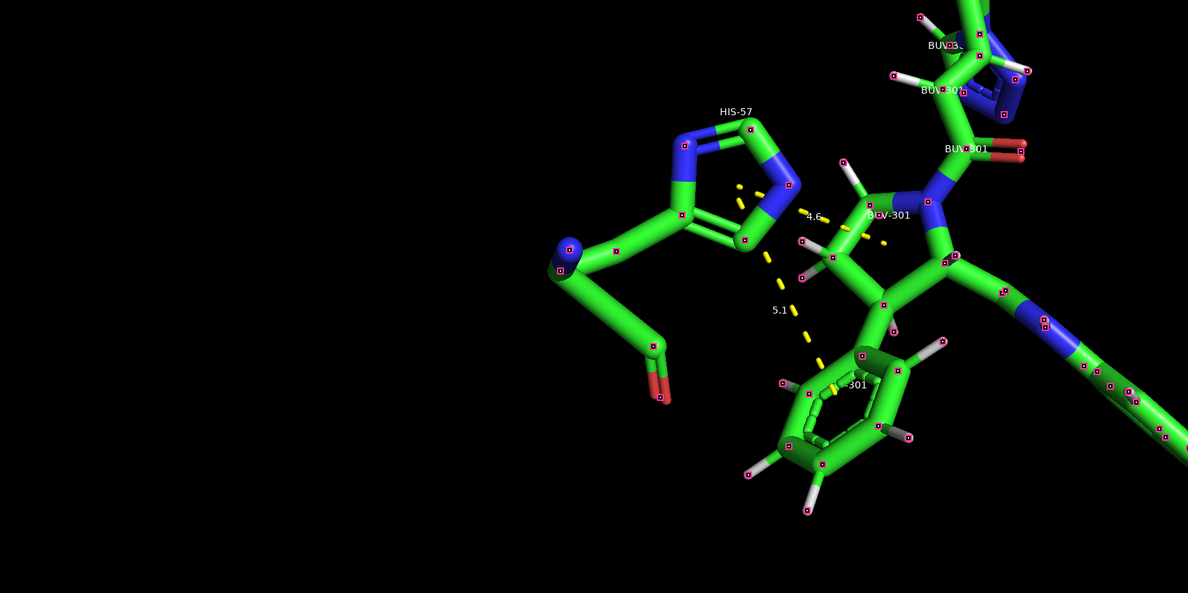 protein_len