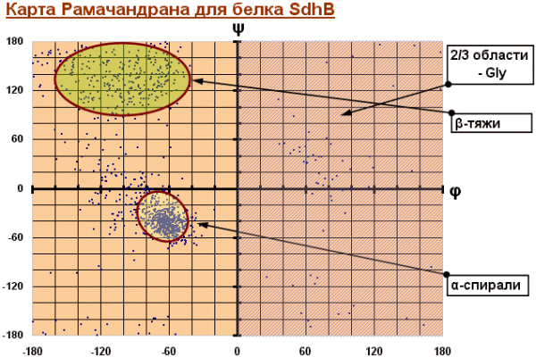 Карта рамачандрана для аминокислот