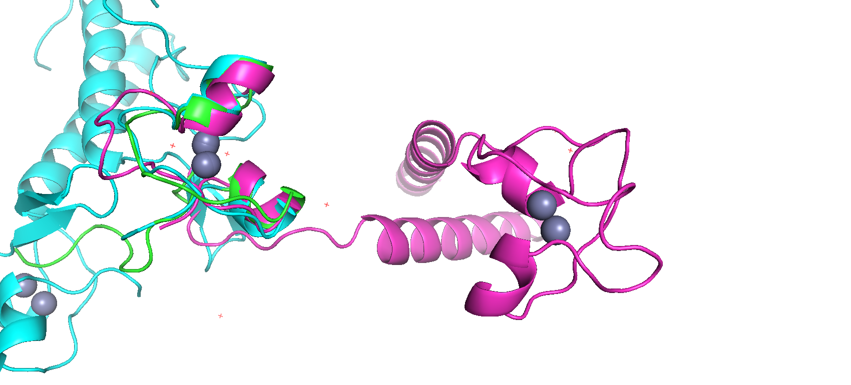 molecule