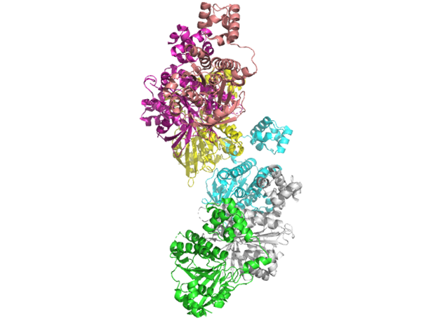 Структура в целом