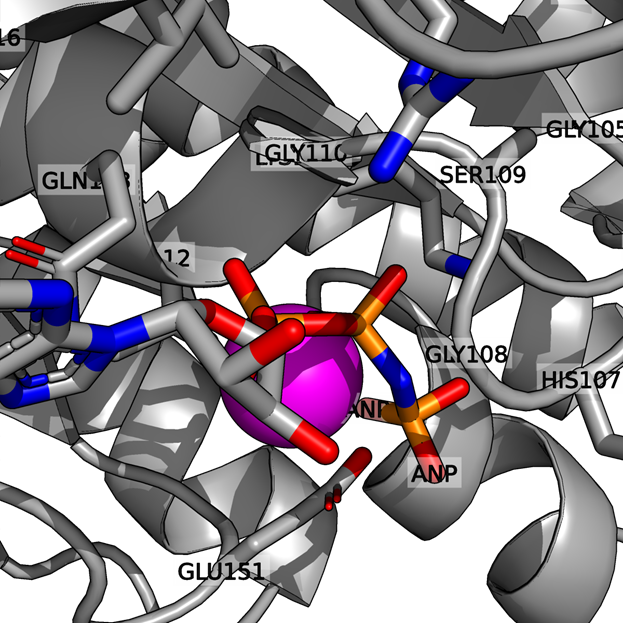 Взаимодействие с ANP