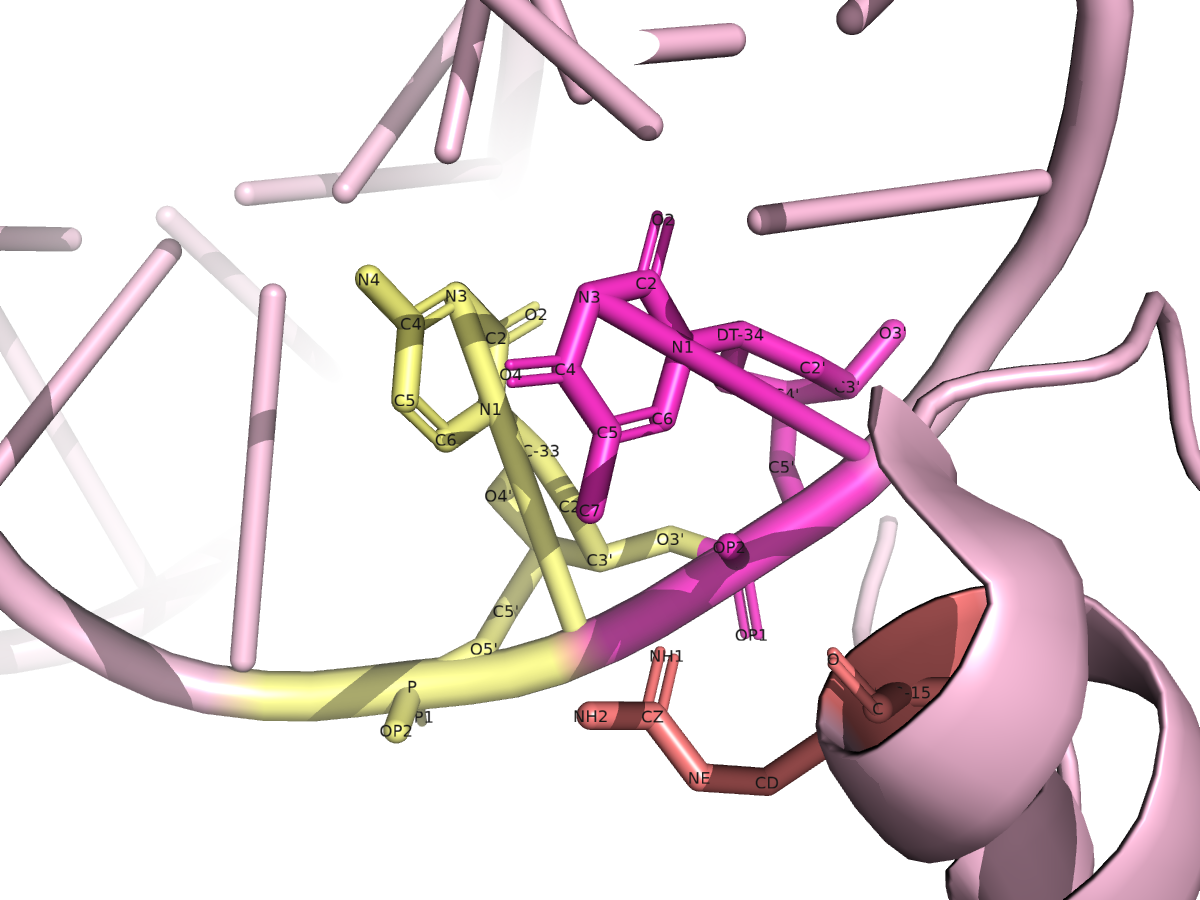 Arg15