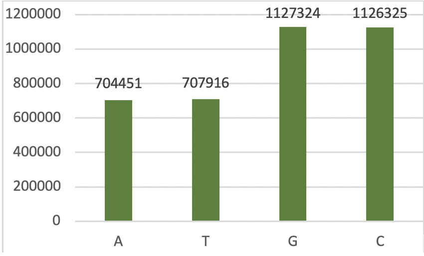 Nucleotide composition