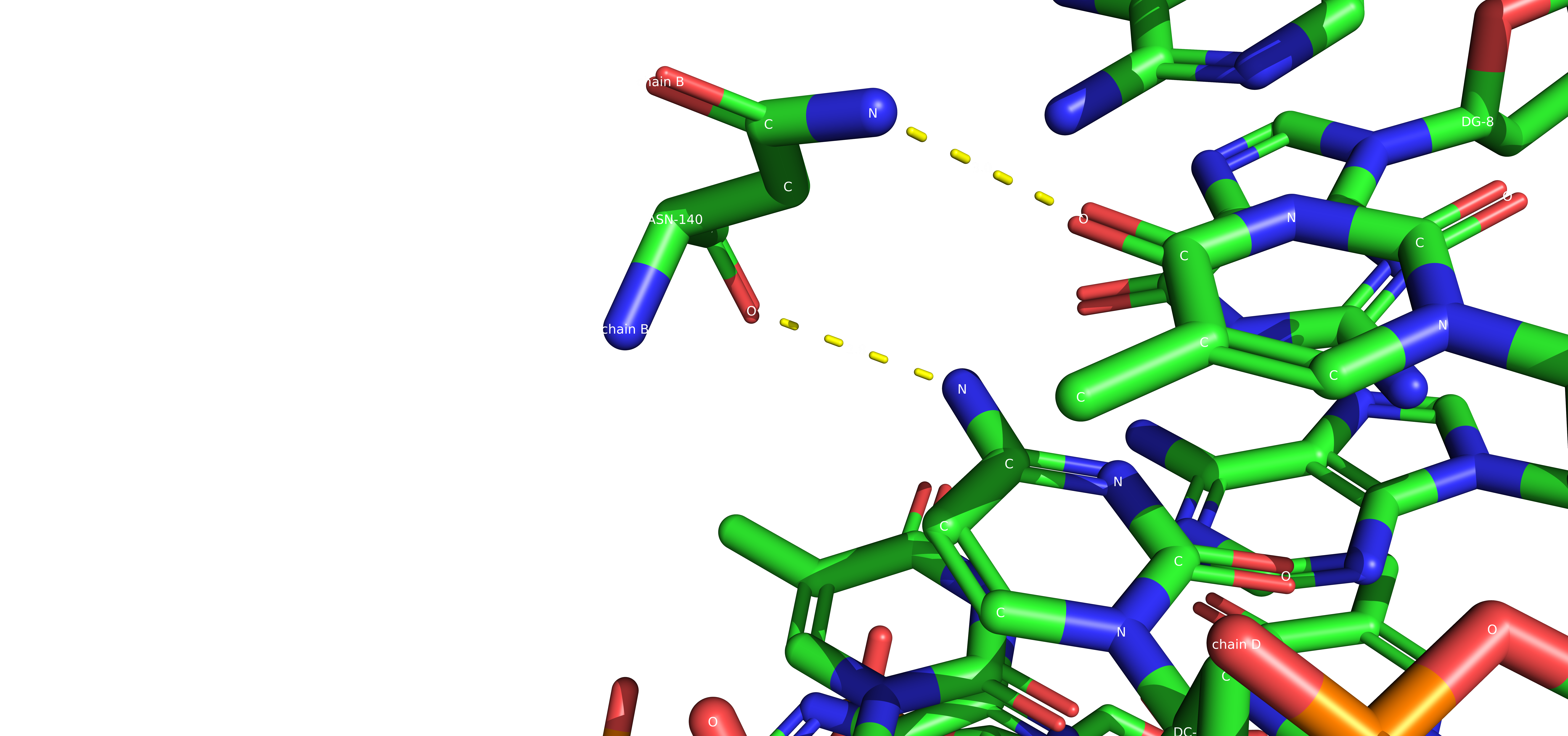 Аспарагин 140, цепь B