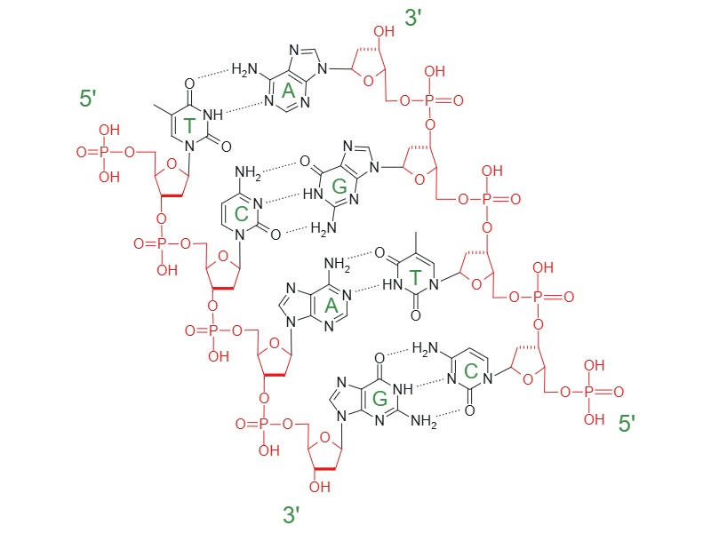 Результат выдачи