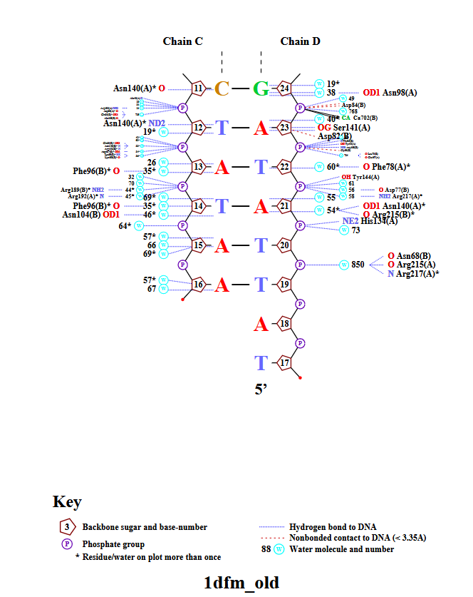 Вторичная структура тРНК