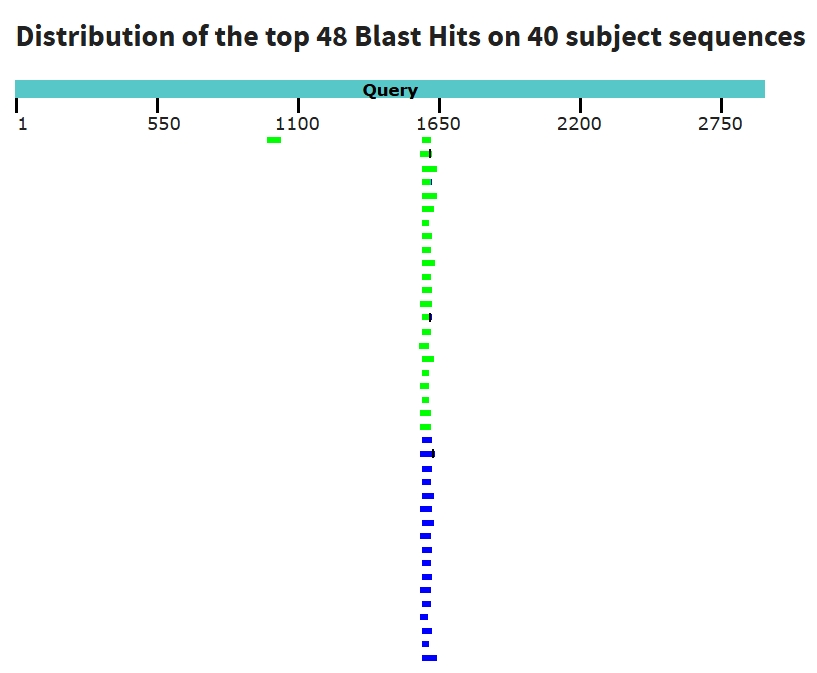 Рисунок 2. blastn для предполагаемых гомологов гена ATP5F1D в семействе Araenae