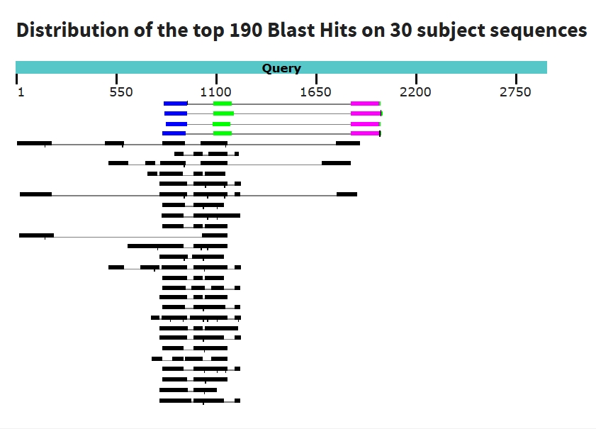 Рисунок 3. tblastx для предполагаемых гомологов гена ATP5F1D в семействе Araenae