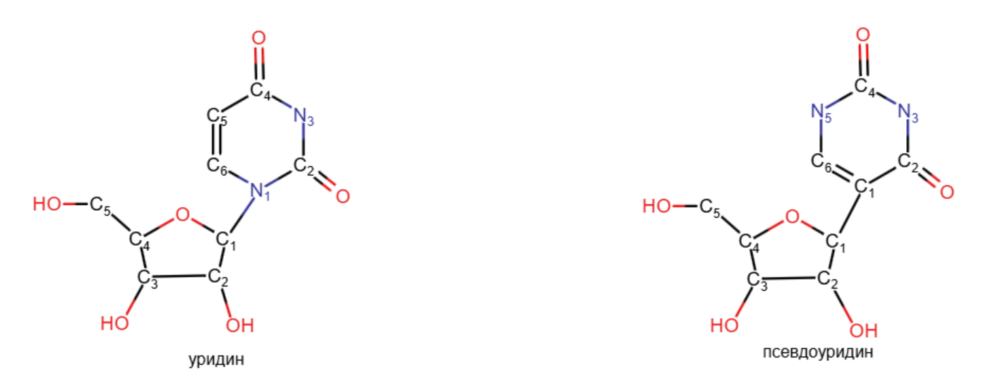 Результат выдачи