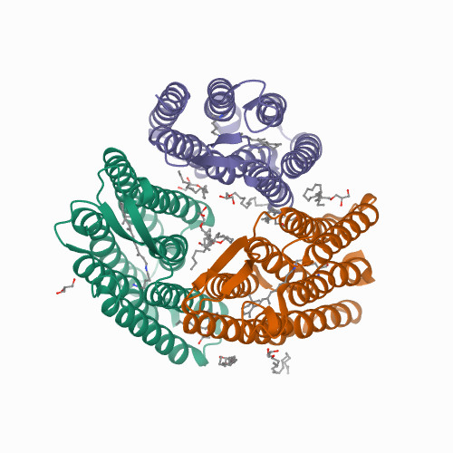 Bacteriorhodopsin