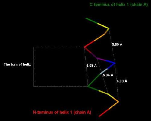 6-16:A Helix