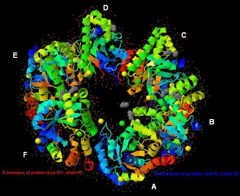 Image of protein's chains with EDO, Mg, Cl