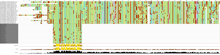 aligment of sequences and motif