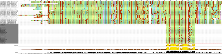 aligment of sequences and motif