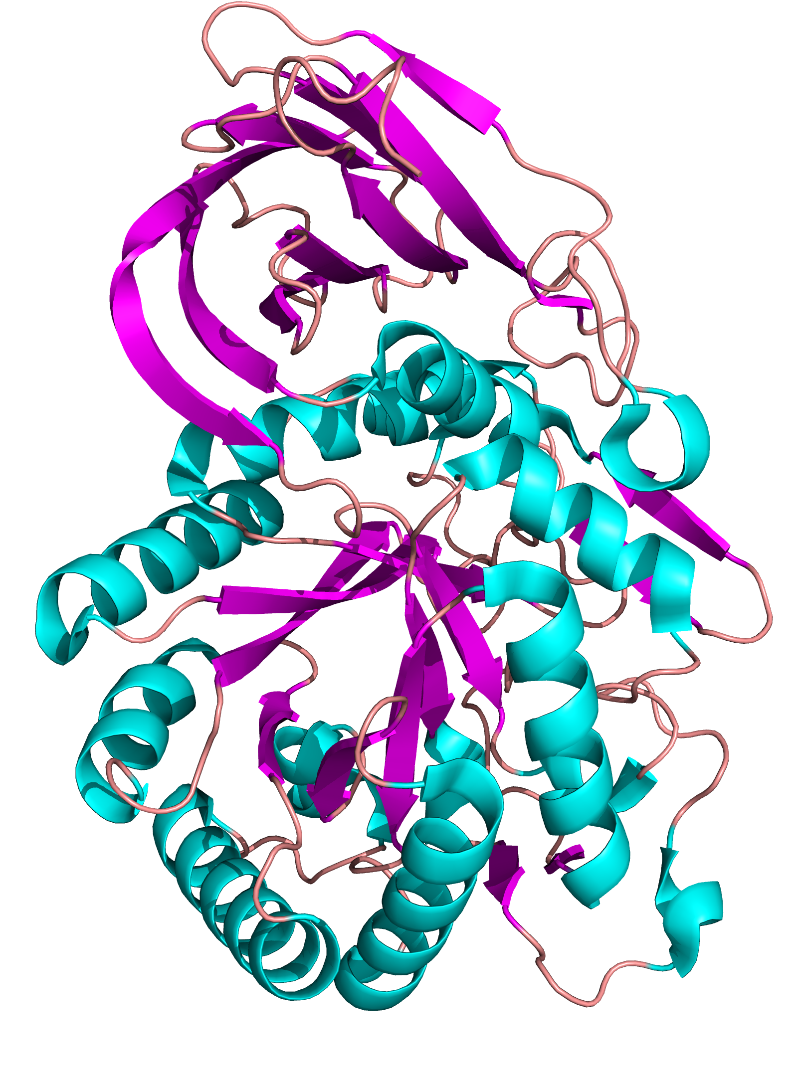Картинка активного центра белка