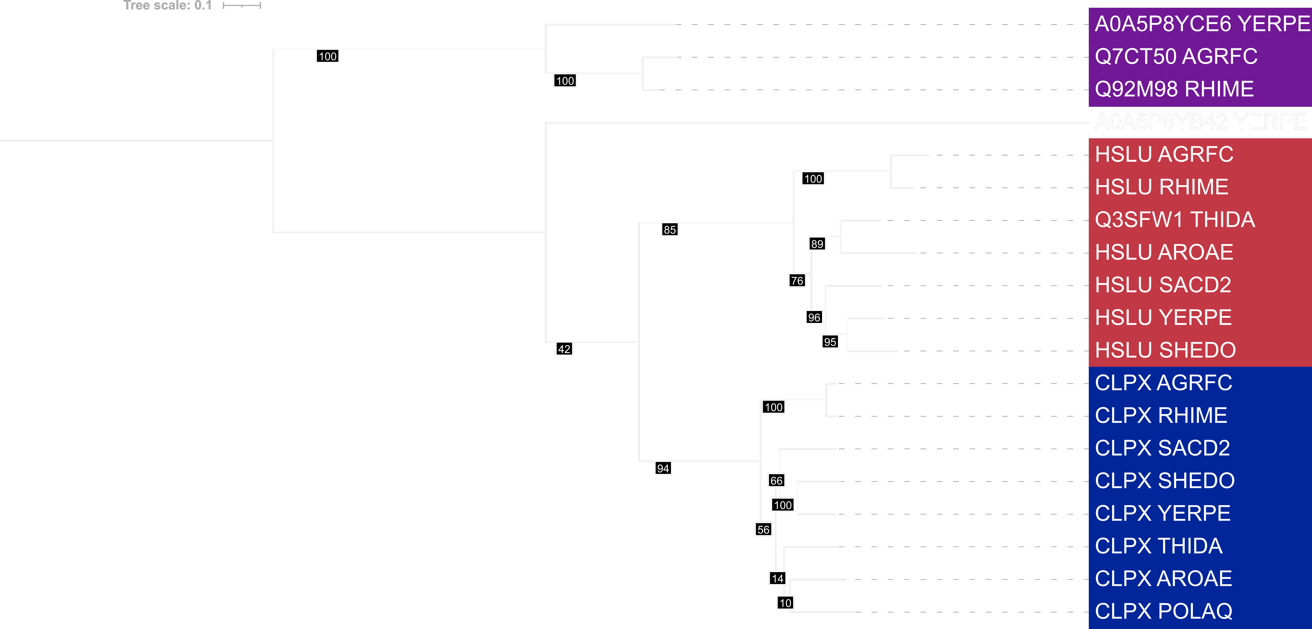 PTREE