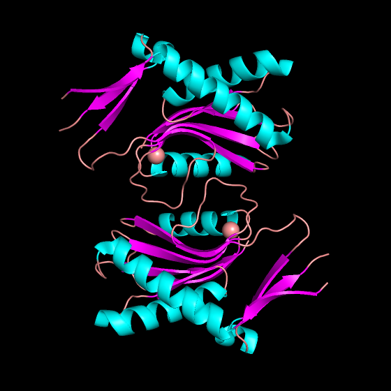Вторичная структура