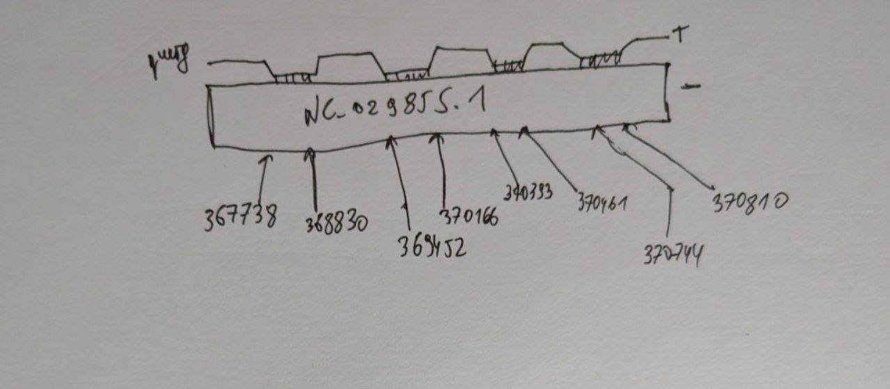 Схема гомолога