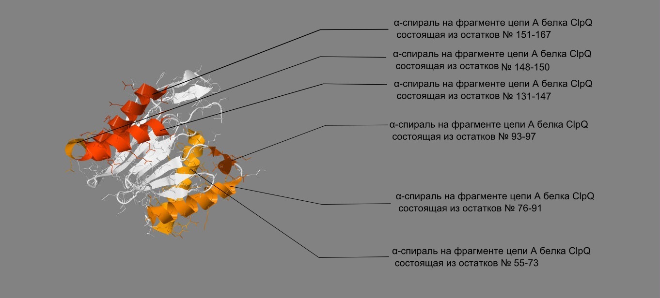 6 спиралей