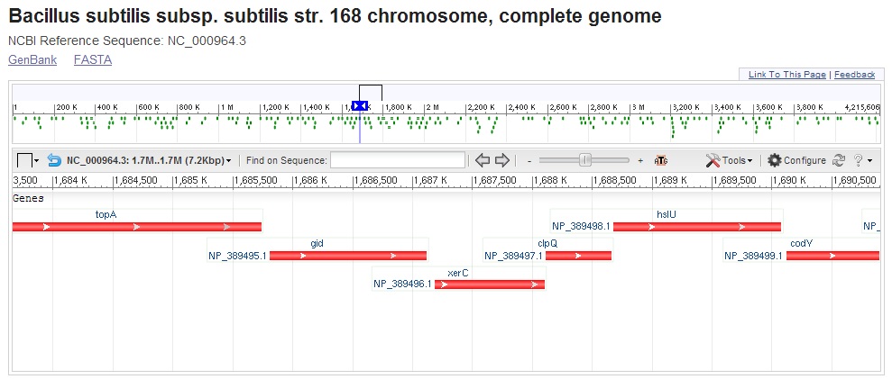 operon