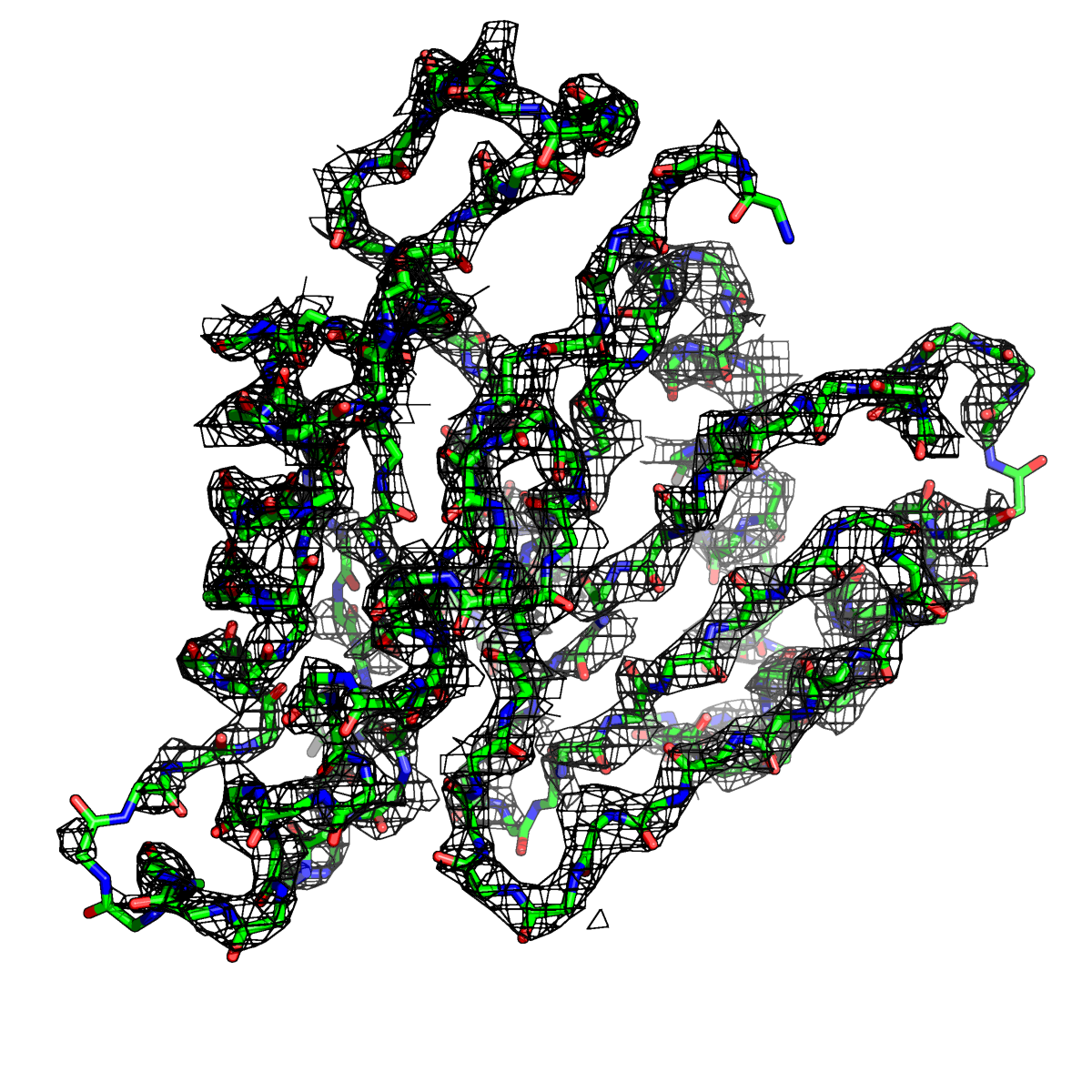 Полипептидная связь белка. Полипептидная цепь. Построение полипептидной цепи. Полипептидные связи ДНК. Закономерности строения полипептидной цепи.