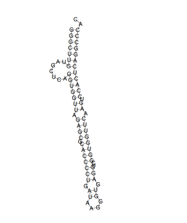 tRNA-chain