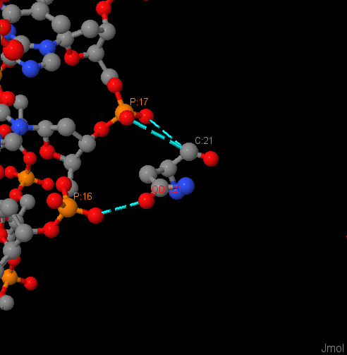 jmol1