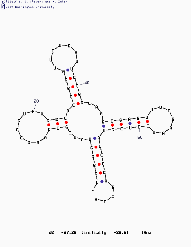 tRNA