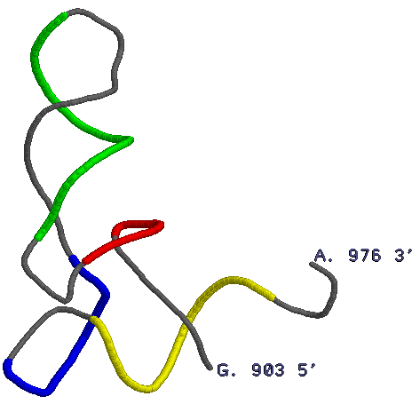 structure of glutaminyl t-RNA
