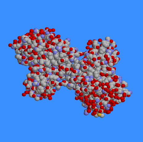 ��� �����