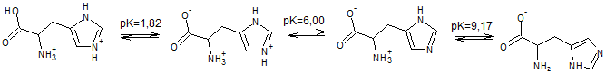 Формы гистидина