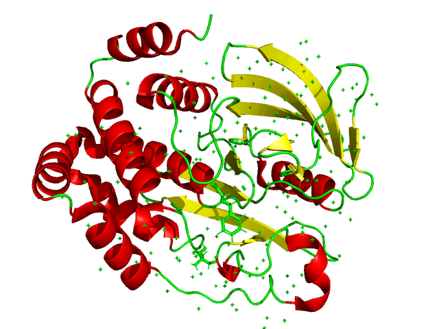 Тут должен был быть белок...